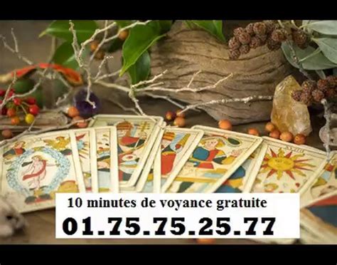 voyance amour gratuite|Tarot Amour : Tirage Gratuit & Interprétation Personnalisée